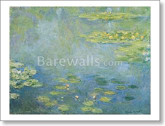 Waterlilies