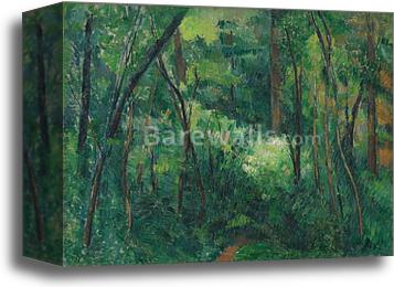 Interior of a forest