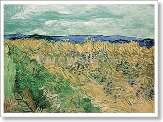 Wheatfield With Cornflowers