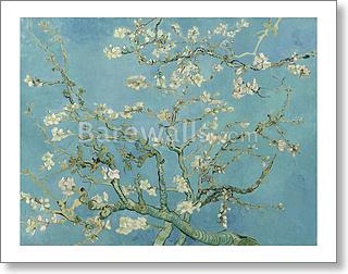 Almond Blossoms