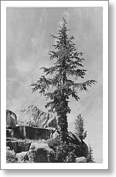 An Unnamed peak, Kings River Canyon (Proposed...