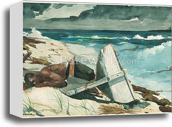 After the Hurricane, Bahamas