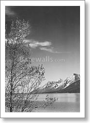 Grand Teton National Park, Wyoming. (vertical...