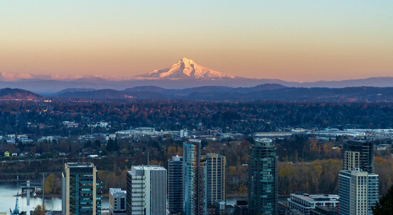 Common Types of Cases Handled by a Portland Personal Injury Lawyer