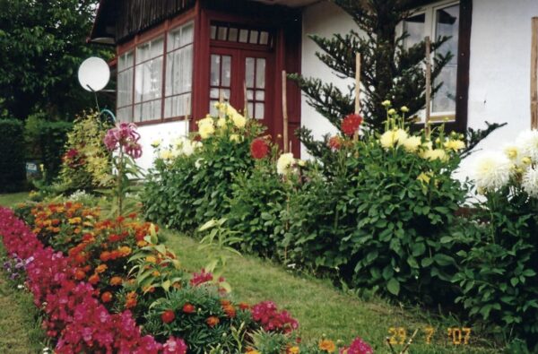 This house originally belonged to my great-great grandfather, Antoni Szczepański. The room in the back was where he sold the vegetables that he grew. The flower garden was added by my great grandfather Kazmierz Moskal.
