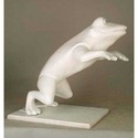 Frog - Tabletop Jumping 18