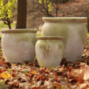 Williams Pot 14