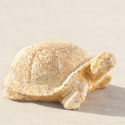 Sand Turtle 10