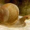 Slow Snail 5