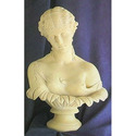 Anothonia Bust (Clyties)