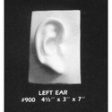 David's Left Ear