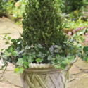 Lattice Pot Large 15