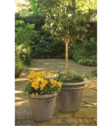 Double Rim Planter/Cg Os