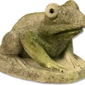 Hypno Frog 7X5X5 H