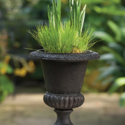 10 Smooth Urn  12.5 H (R)