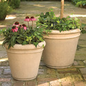 Double Rim Planter/Cg Ls