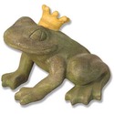 Frog Prince Of The Garden 14