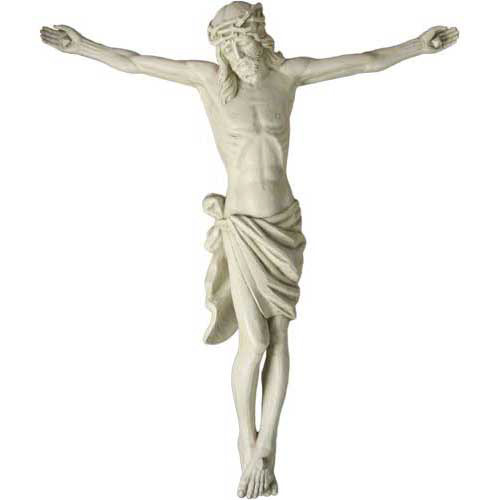 Great Oak Corpus 37
