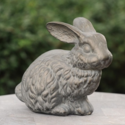 BUMPER BUNNY