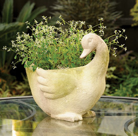 Duck Planter