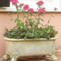 Antique Bathtub Planter