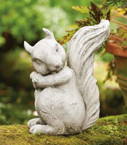 Forest Squirrel