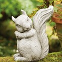 Forest Squirrel