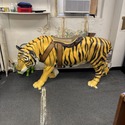 Carousel Tiger 35