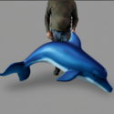 Dolphin (Life Size)