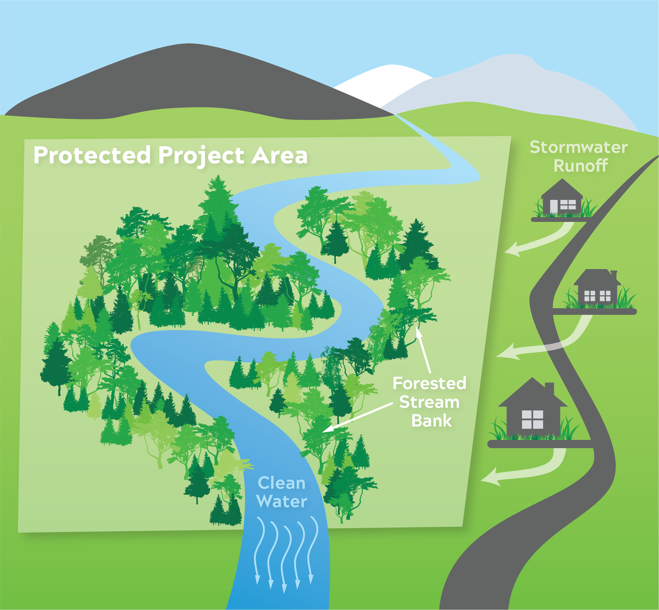 Quantifying the Value of Forest Protection for Clean Water Open Space