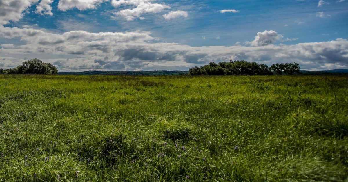 OSI Support Furthers Protection of State’s HighestPriority Region for