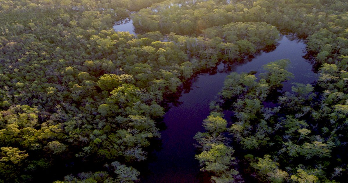 'Connecting to South Carolina's Black River' Story Map (2021) Open
