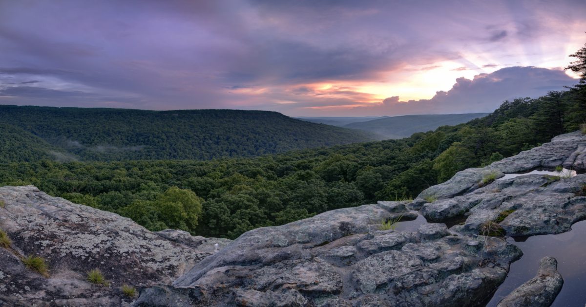OSI helps grow protected land in Tennessee's South Cumberland Plateau
