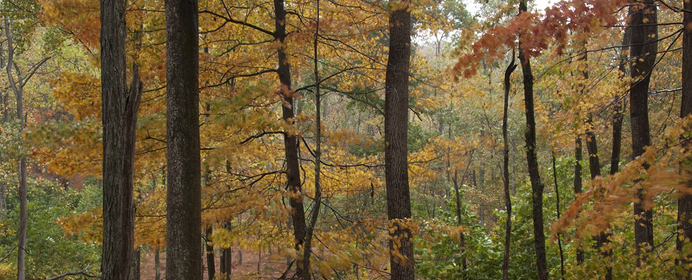 West Virginia's Eastern Panhandle Open Space Institute (enUS)
