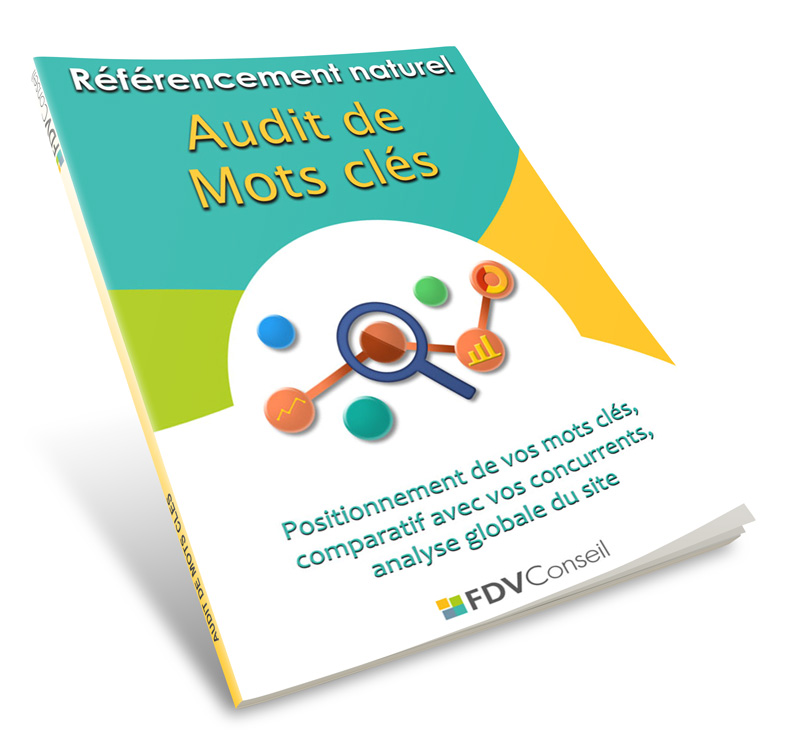 Audit mots clés