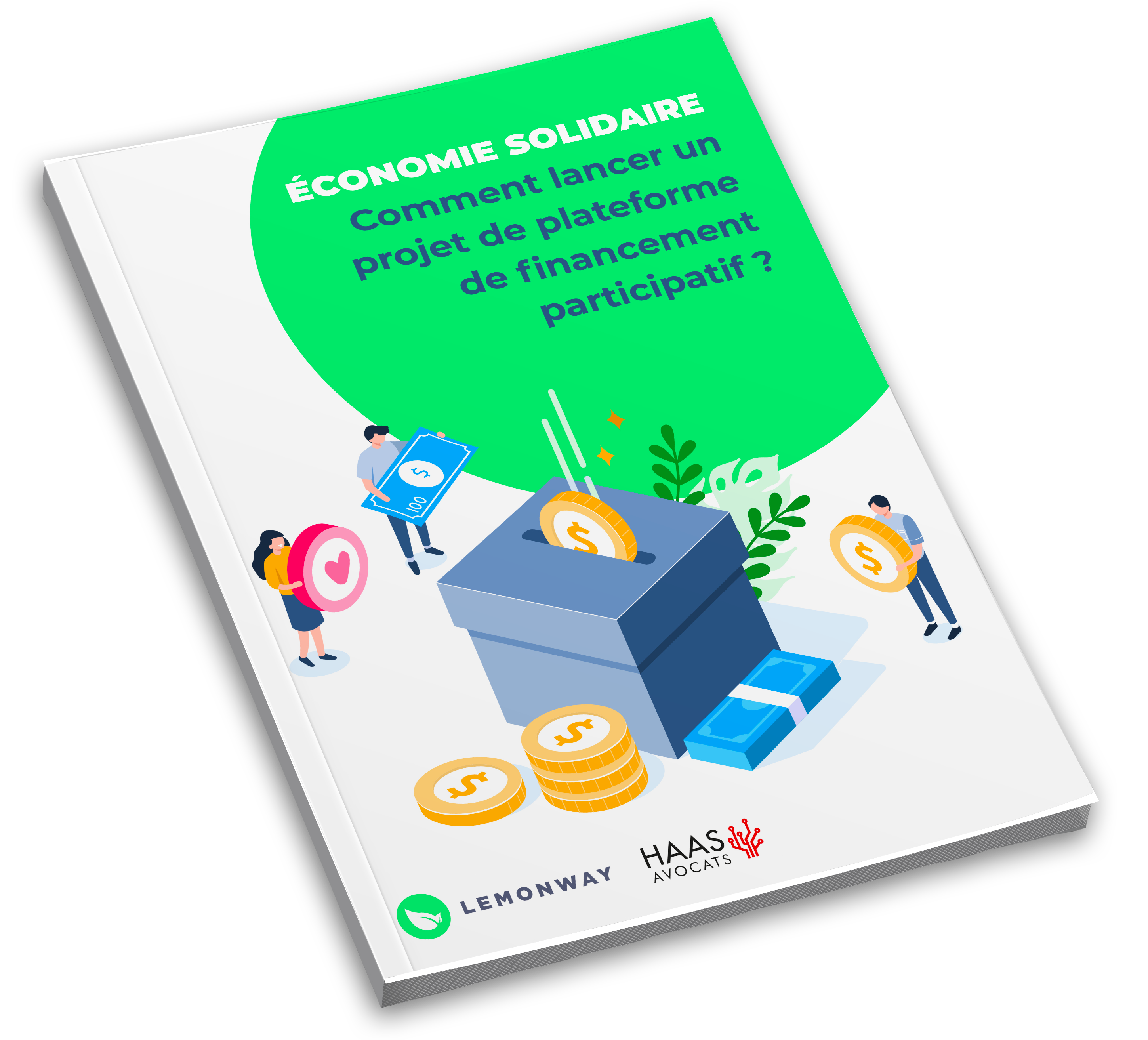 Mode De Financement Projet Solidaire Nom