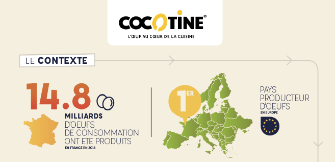 Infographie Oeufs alternatifs