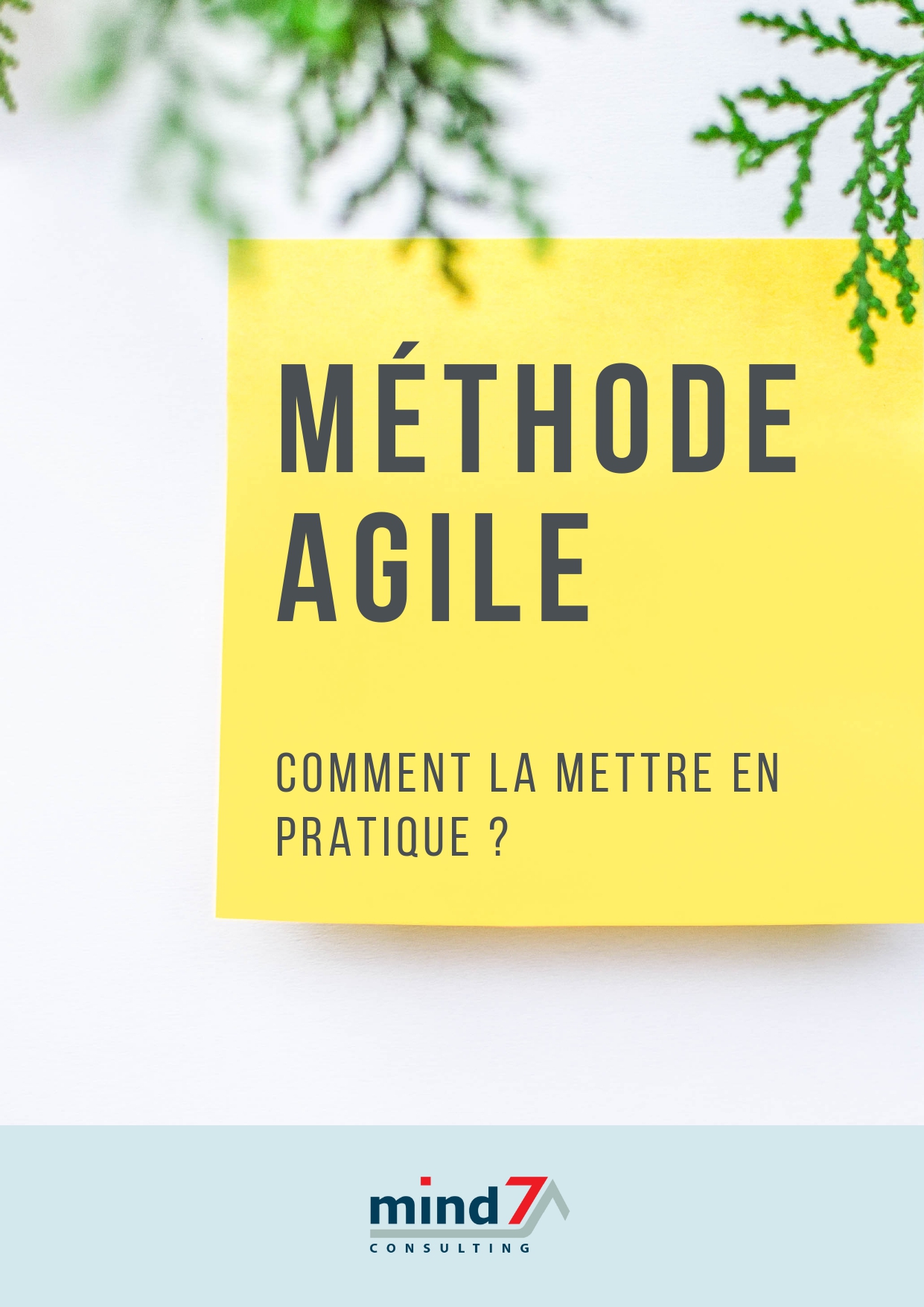 livre blanc methode agile