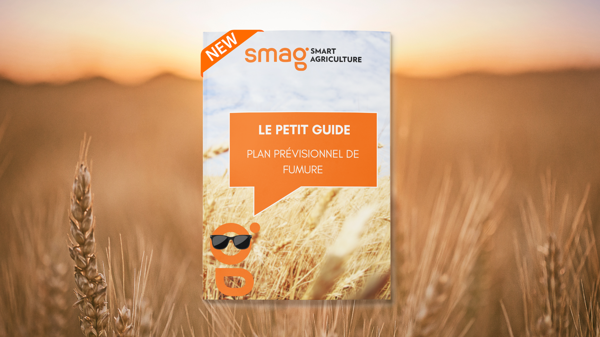 Petit Guide PPF
