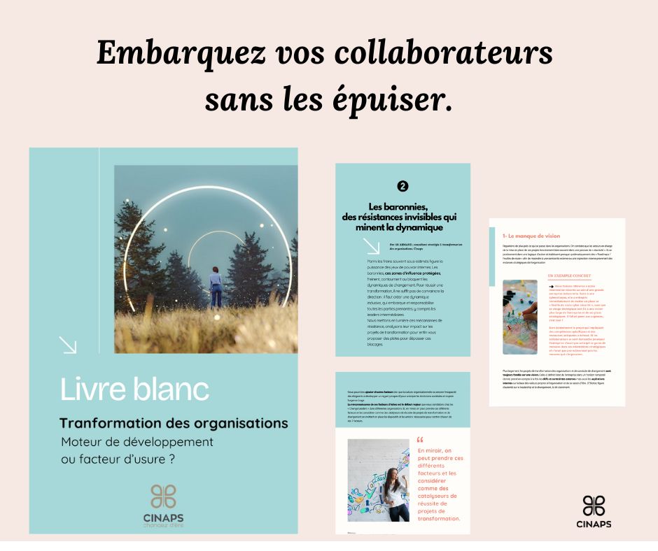 Livre Blanc Cinaps sur la responsabilisation des équipes
