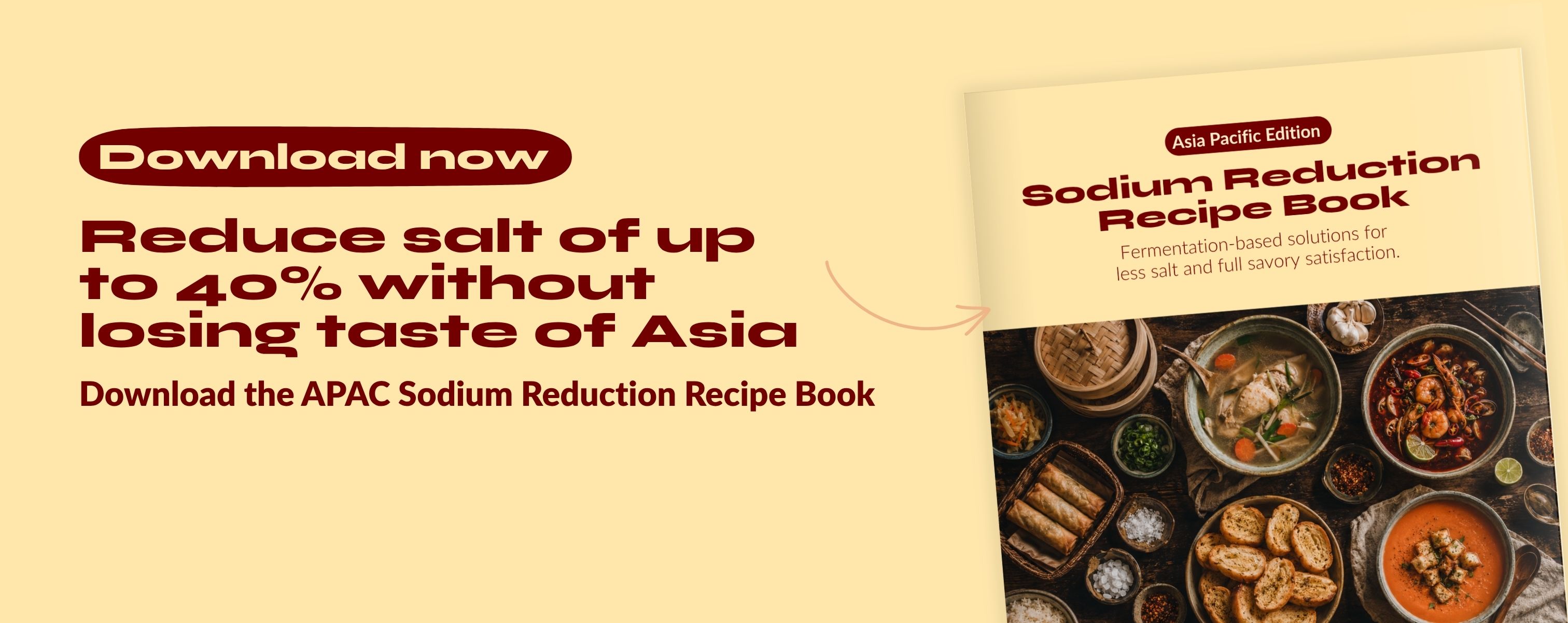 Sodium reduction recipe book featuring application-ready formulations with up to 40% less salt from Biospringer