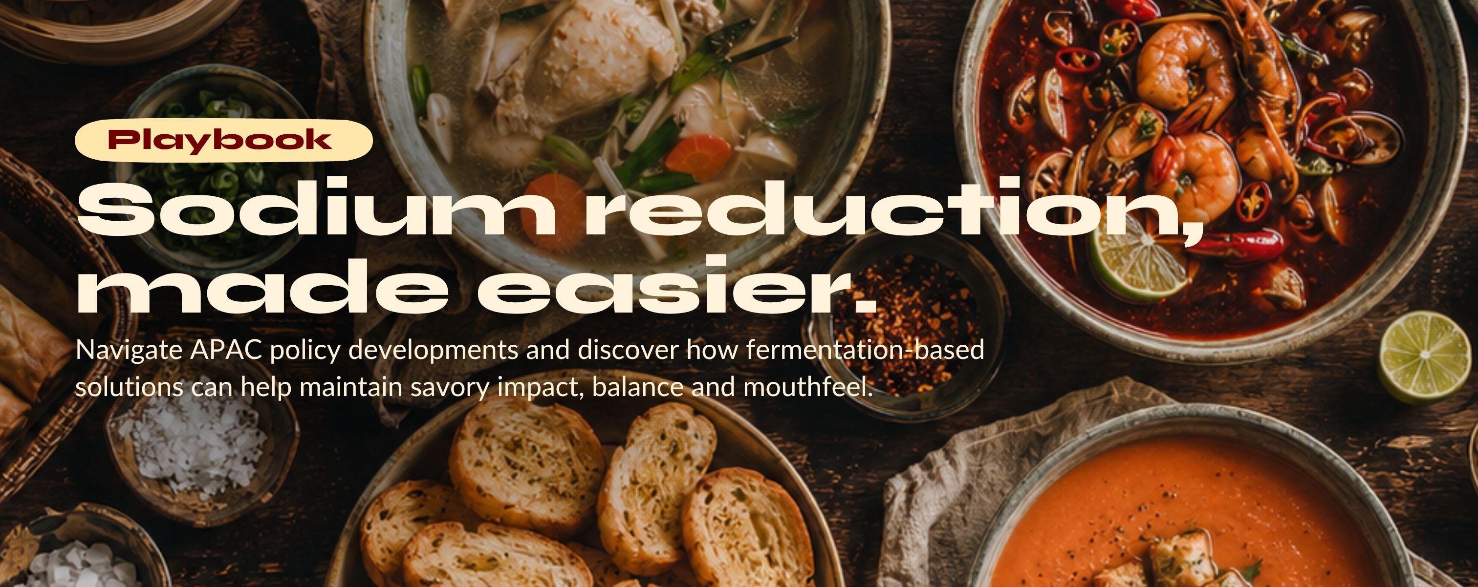 Biospringer APAC Sodium Reduction Playbook campaign banner featuring Asian savory dishes and the message “Sodium reduction, made easier.”