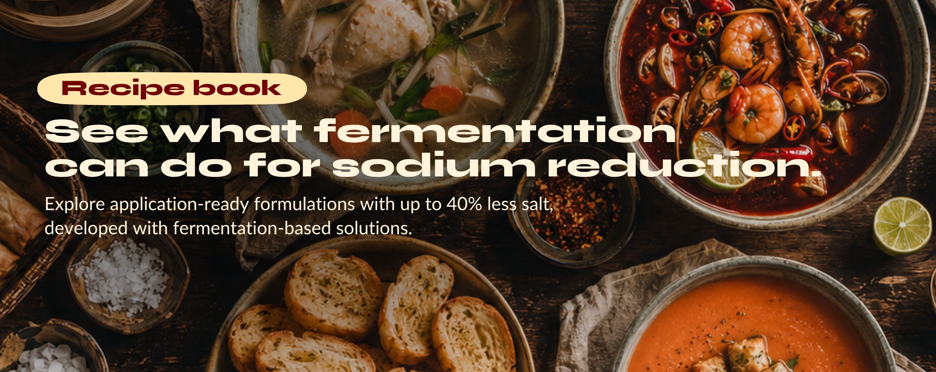 Biospringer sodium reduction recipe book featuring application-ready formulations with up to 40% less salt using fermentation-based solutions