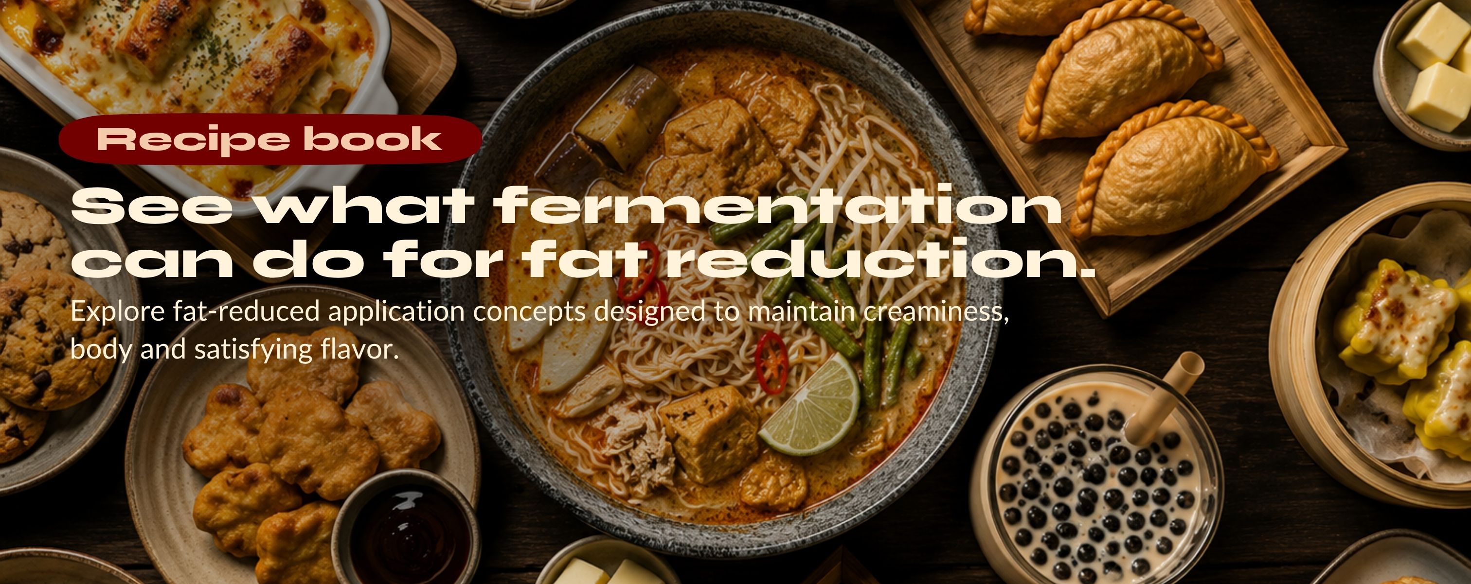 Biospringer fat reduction recipe book featuring application concepts designed to maintain creaminess, body and satisfying flavor