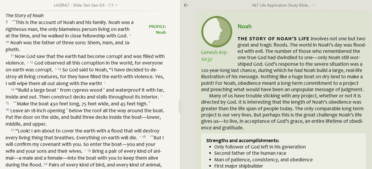 Graphic31ChroniclesPersonalProfiles