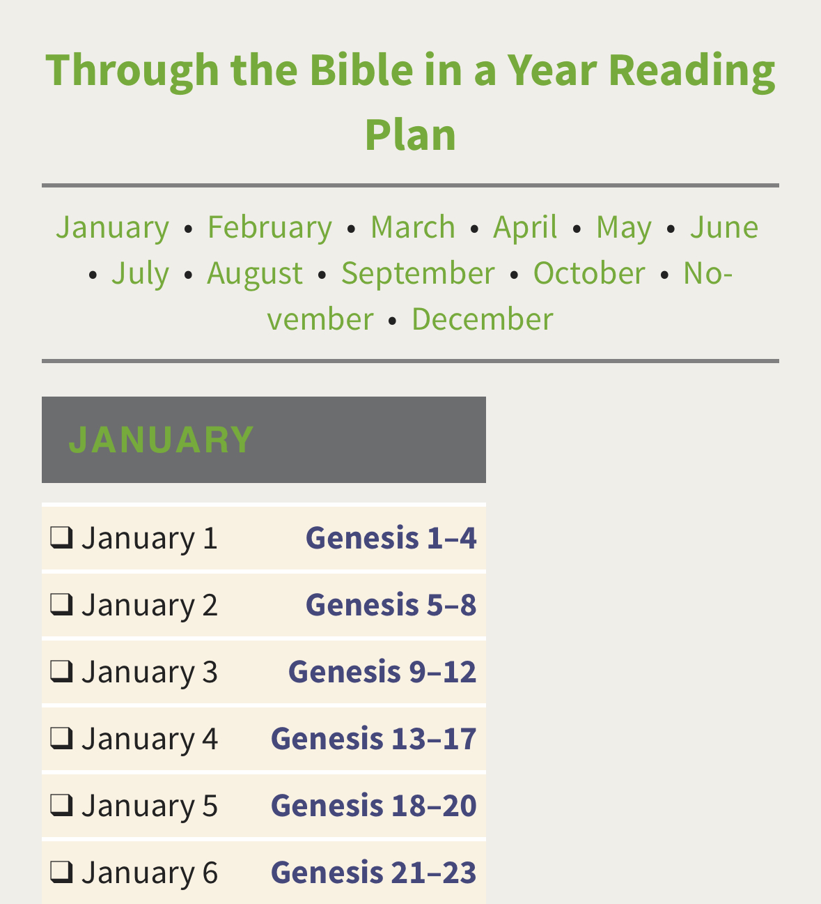 NIV Application Bible