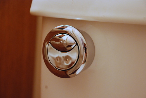 dual flush toilet button flusher