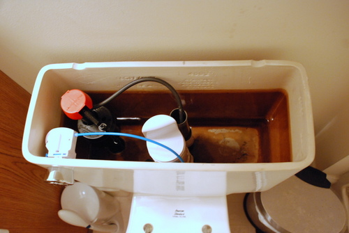 dual flush toilet