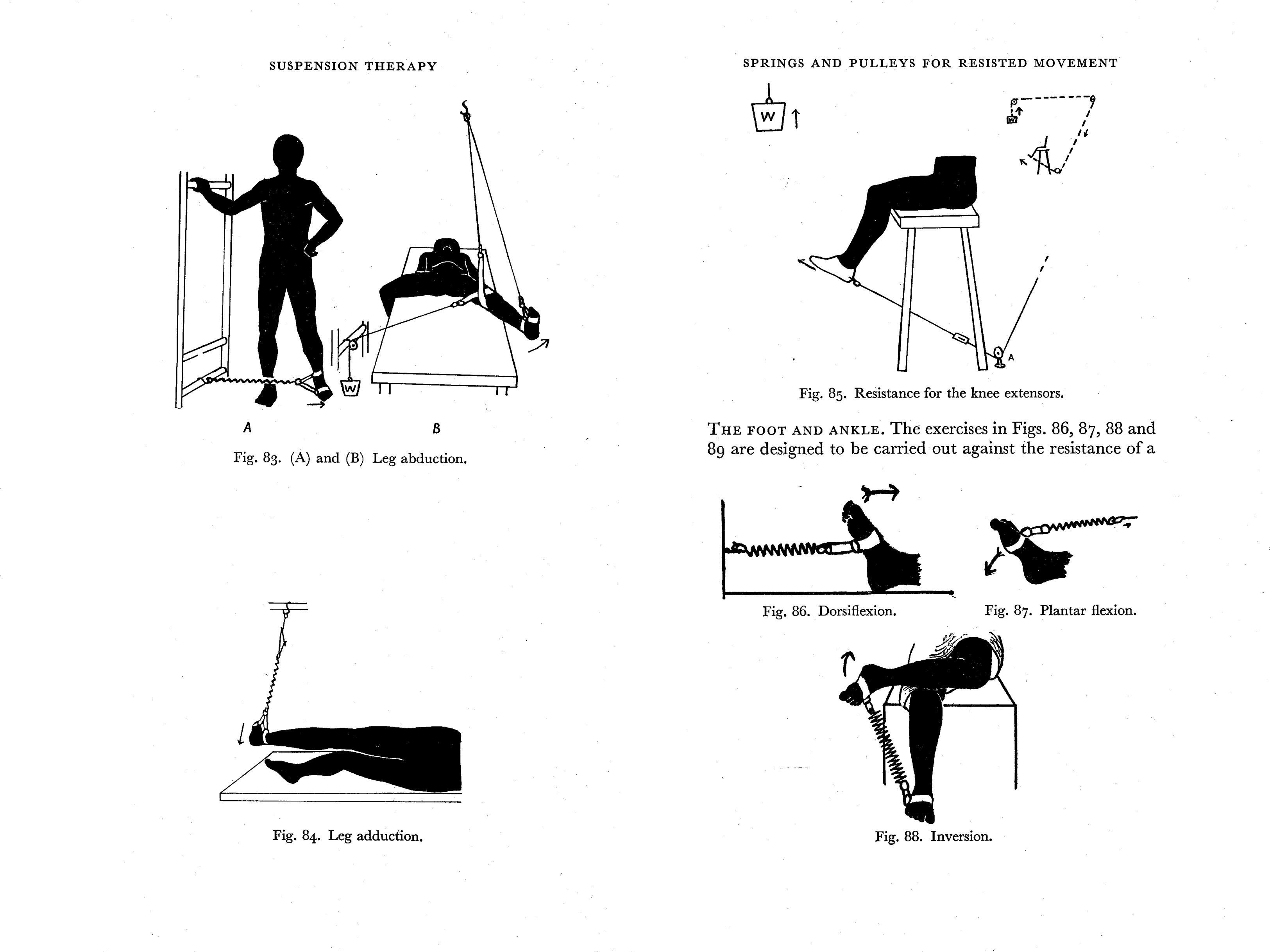 Suspension Therapy in Rehabilitation · ourheritage.ac.nz OUR Heritage