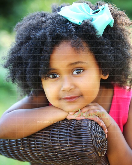 Spring N Dale Private - 2025 Fall